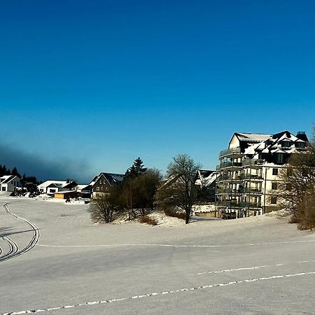 Astenblick Apartments Winterberg With Sauna Екстер'єр фото