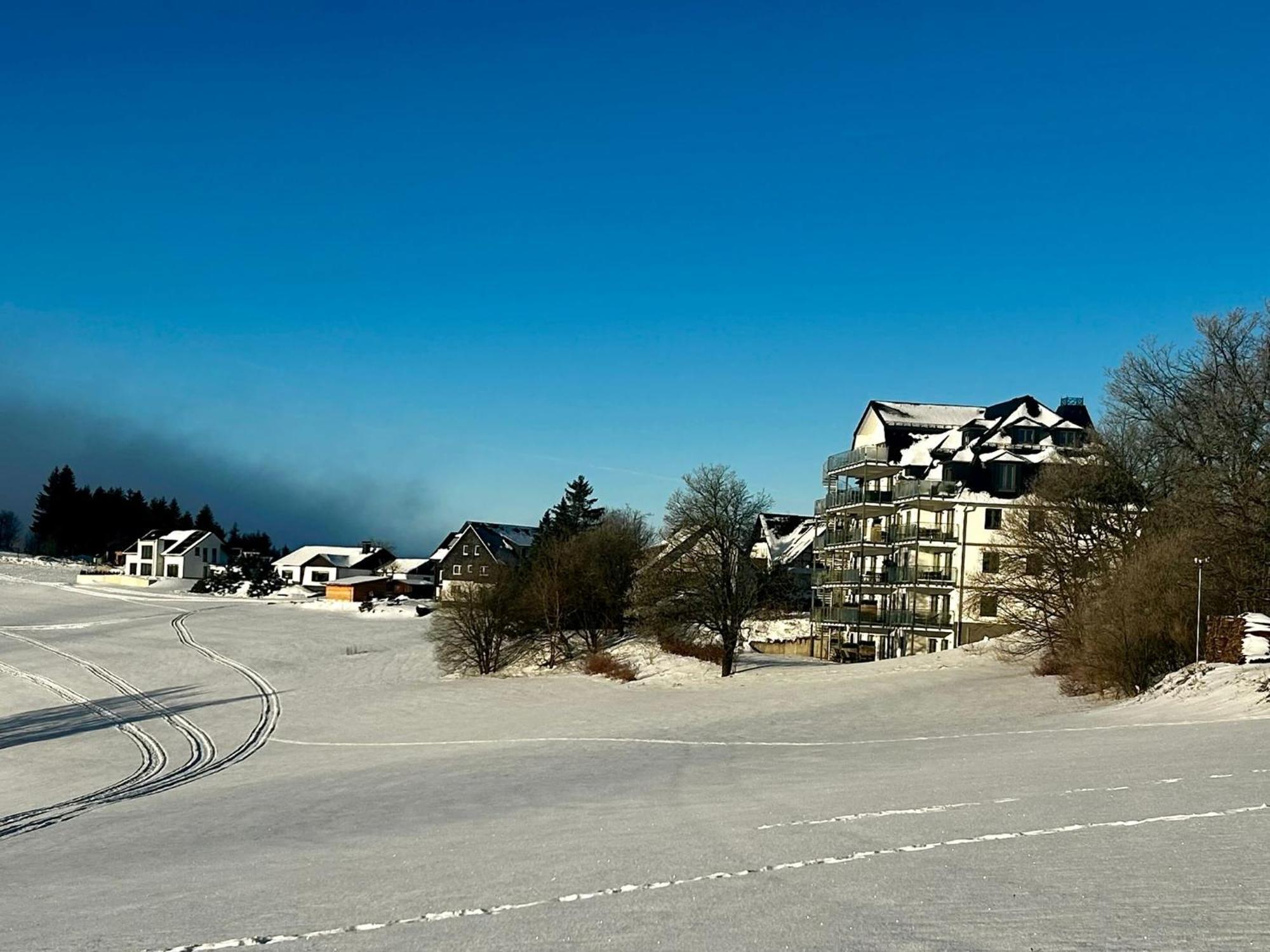 Astenblick Apartments Winterberg With Sauna Екстер'єр фото